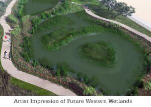Artists Impression of Future Wetlands